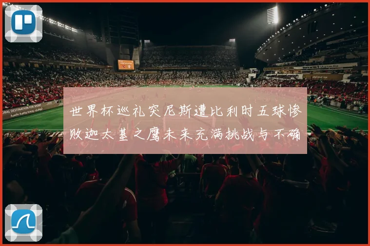 世界杯巡礼突尼斯遭比利时五球惨败迦太基之鹰未来充满挑战与不确定性